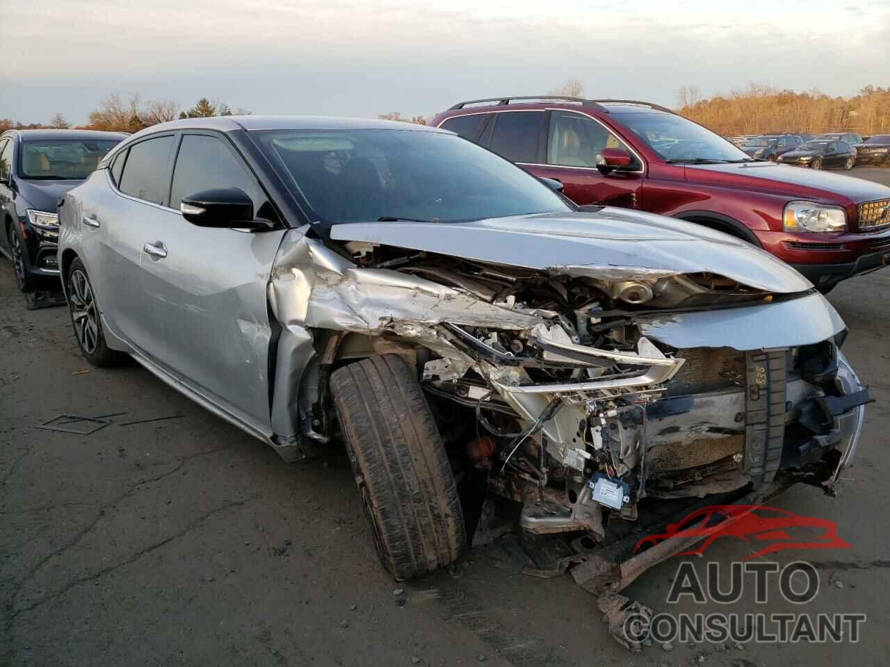 NISSAN MAXIMA 2019 - 1N4AA6AV6KC365644