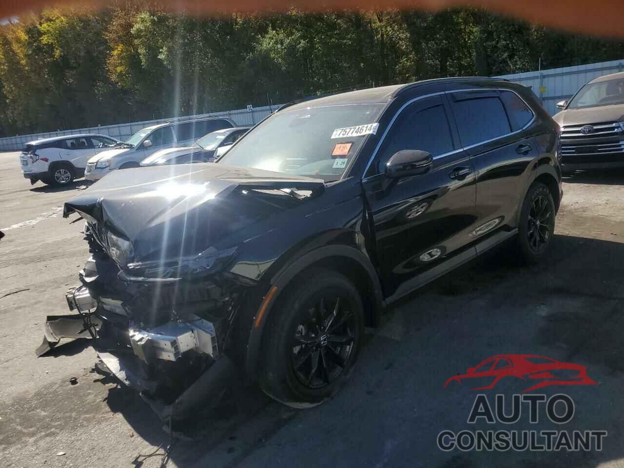 HONDA CRV 2024 - 7FARS6H83RE050442