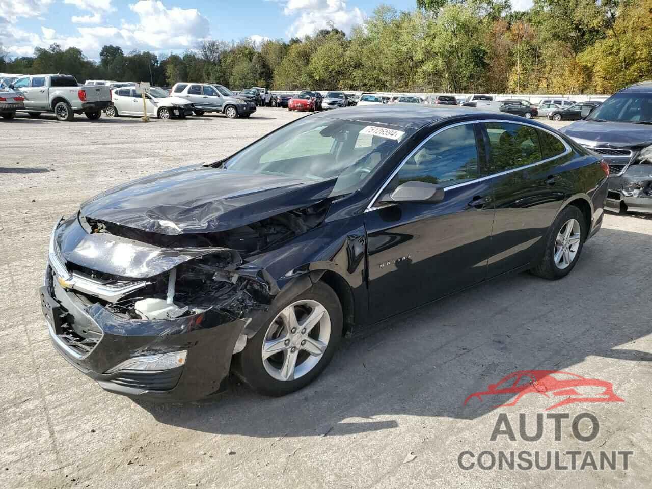 CHEVROLET MALIBU 2019 - 1G1ZB5ST1KF186291