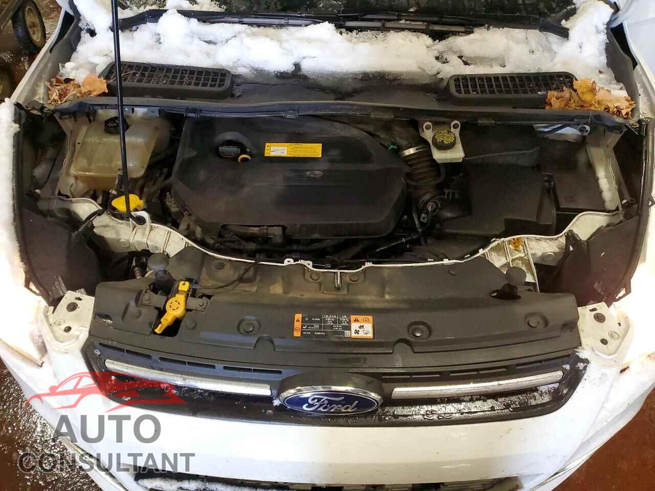 FORD ESCAPE 2016 - 1FMCU0GX2GUC87599