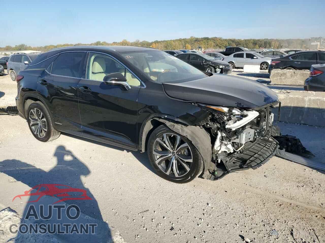 LEXUS RX450 2021 - 2T2HGMDAXMC063798