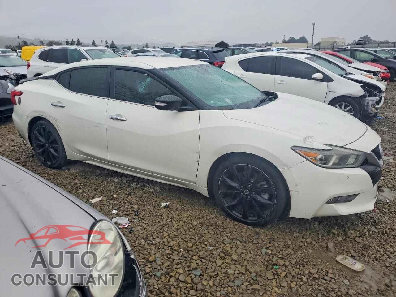 NISSAN MAXIMA 2017 - 1N4AA6AP1HC426568