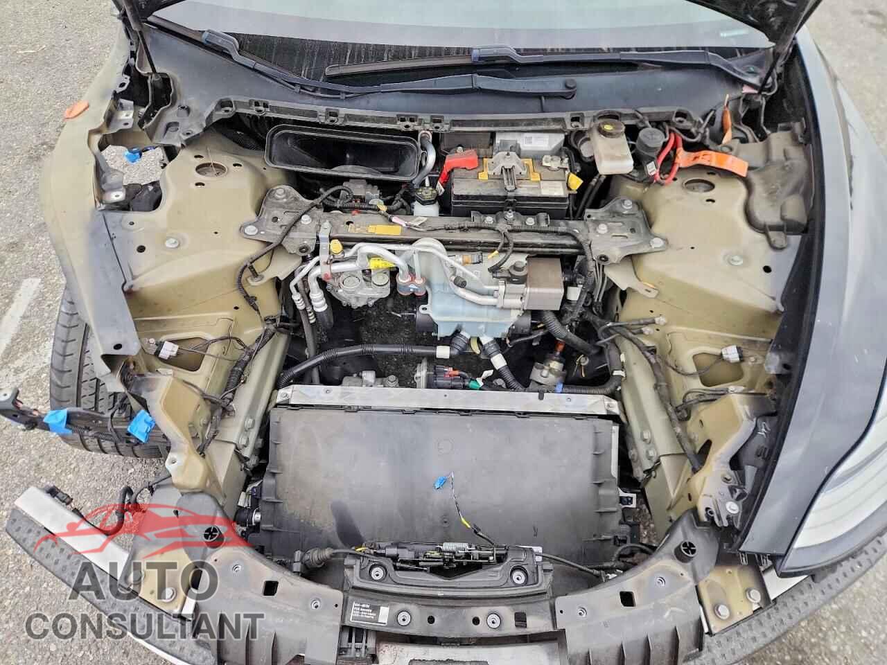 TESLA MODEL 3 2019 - 5YJ3E1EA9KF416896