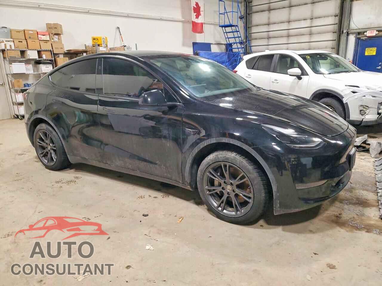 TESLA MODEL Y 2024 - 7SAYGDED1RF096014