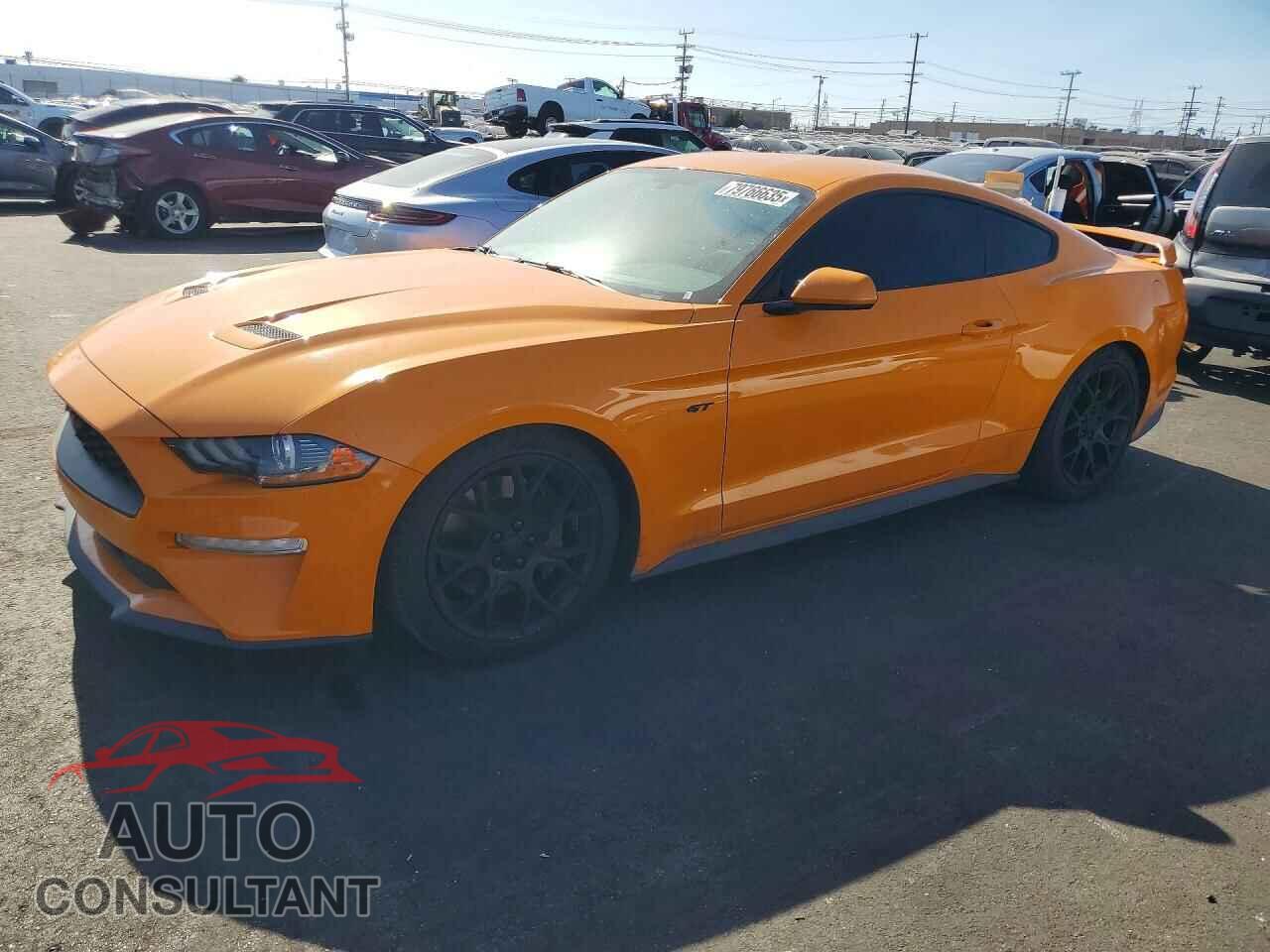 FORD MUSTANG 2019 - 1FA6P8TH3K5117573