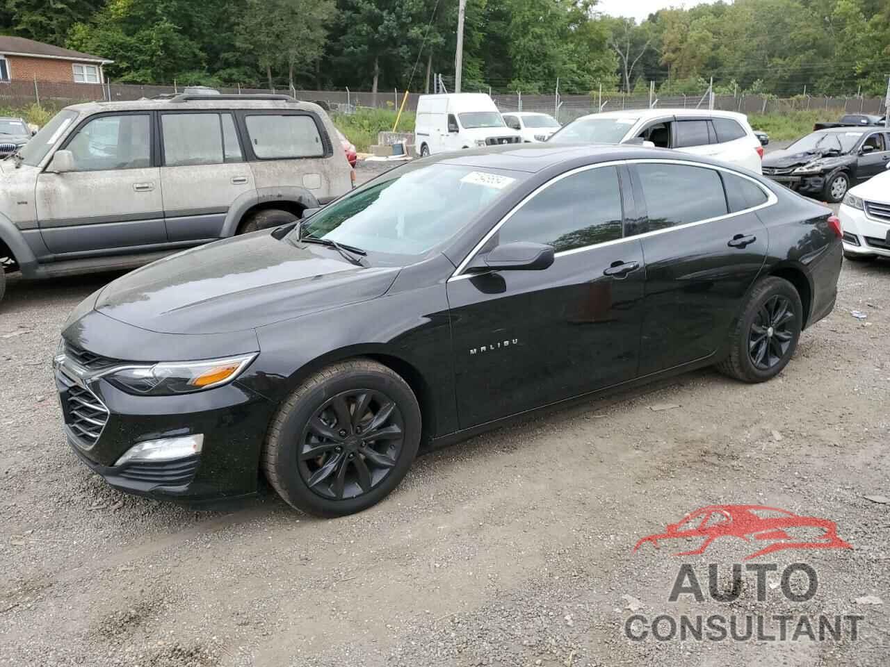 CHEVROLET MALIBU 2019 - 1G1ZD5ST9KF191734