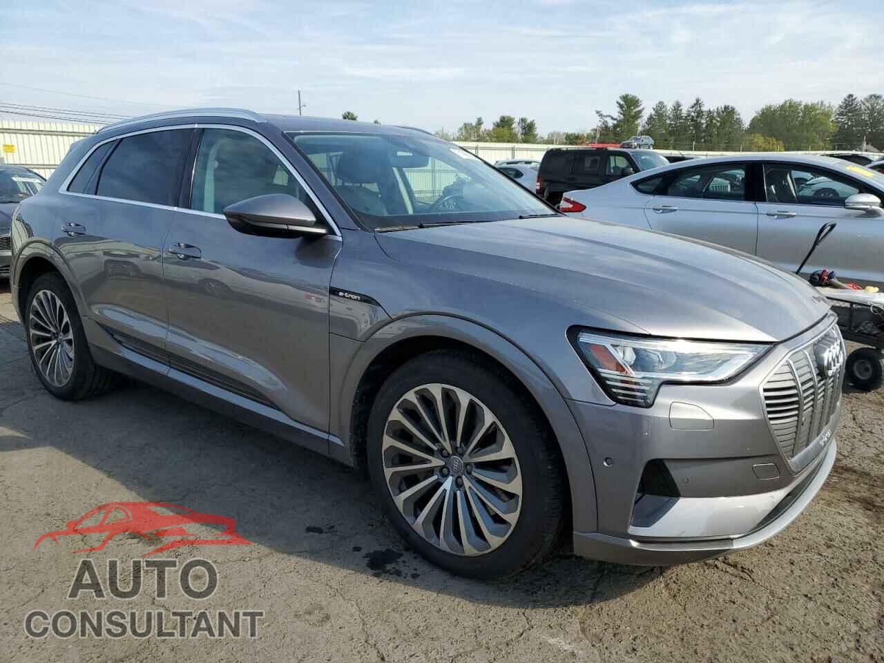 AUDI E-TRON 2019 - WA1VAAGE9KB005371