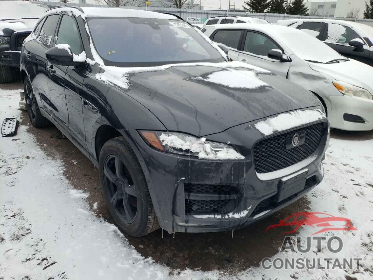 JAGUAR F-PACE 2019 - SADCL2GX3KA399684