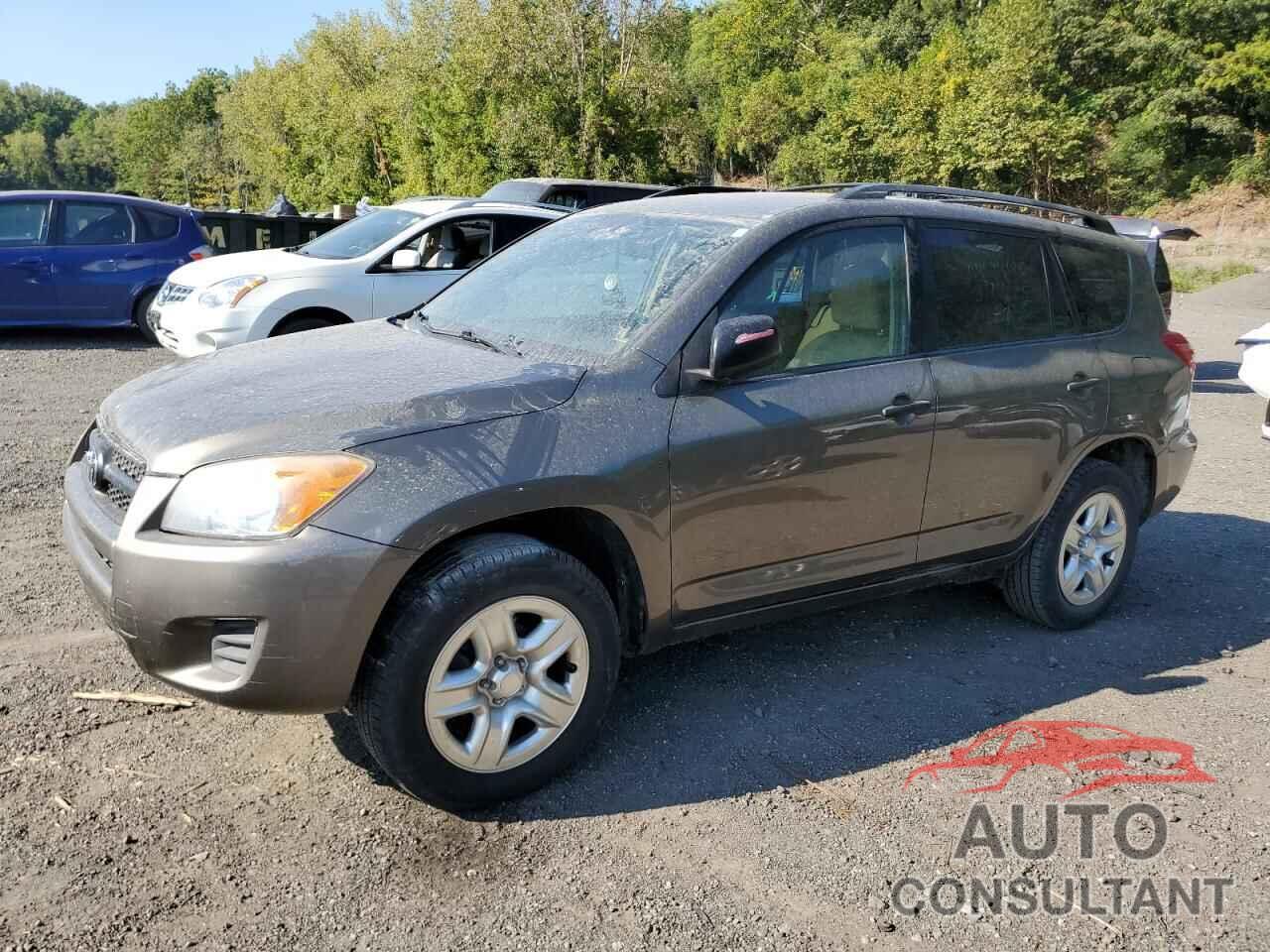 TOYOTA RAV4 2011 - 2T3BF4DV4BW162166