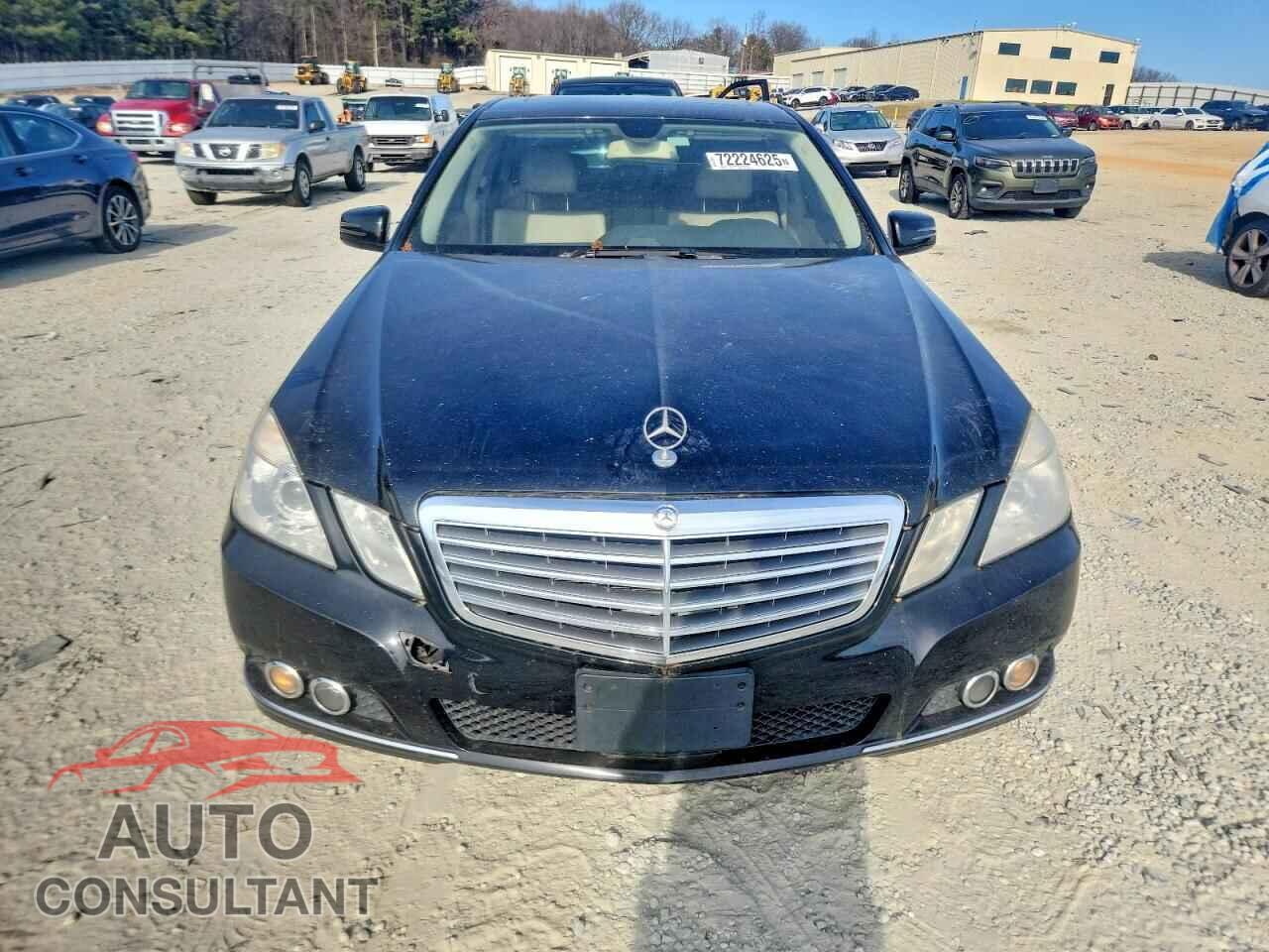 MERCEDES-BENZ E-CLASS 2011 - WDDHF8HBXBA421829