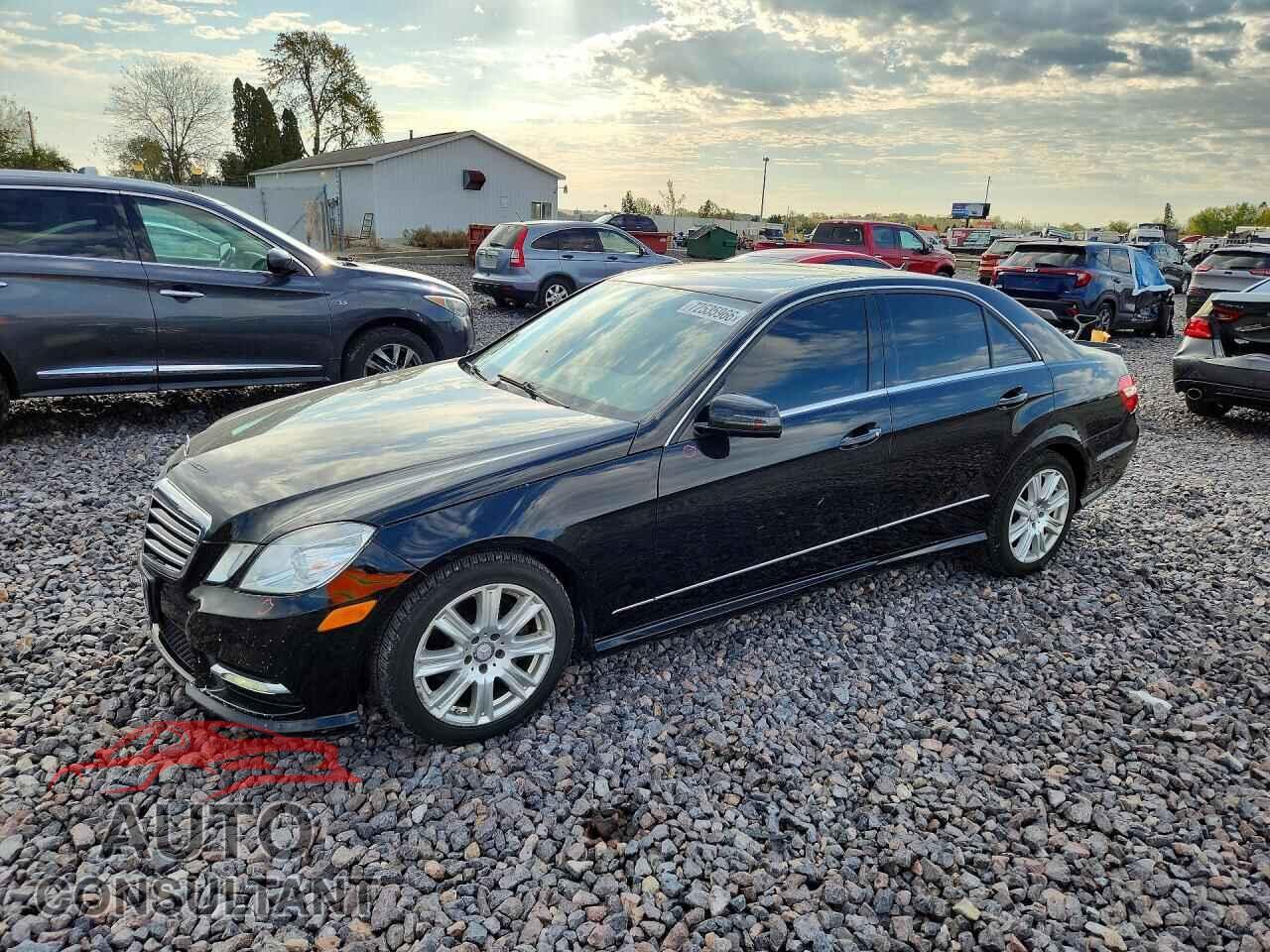 MERCEDES-BENZ E-CLASS 2013 - WDDHF8JB7DA717341