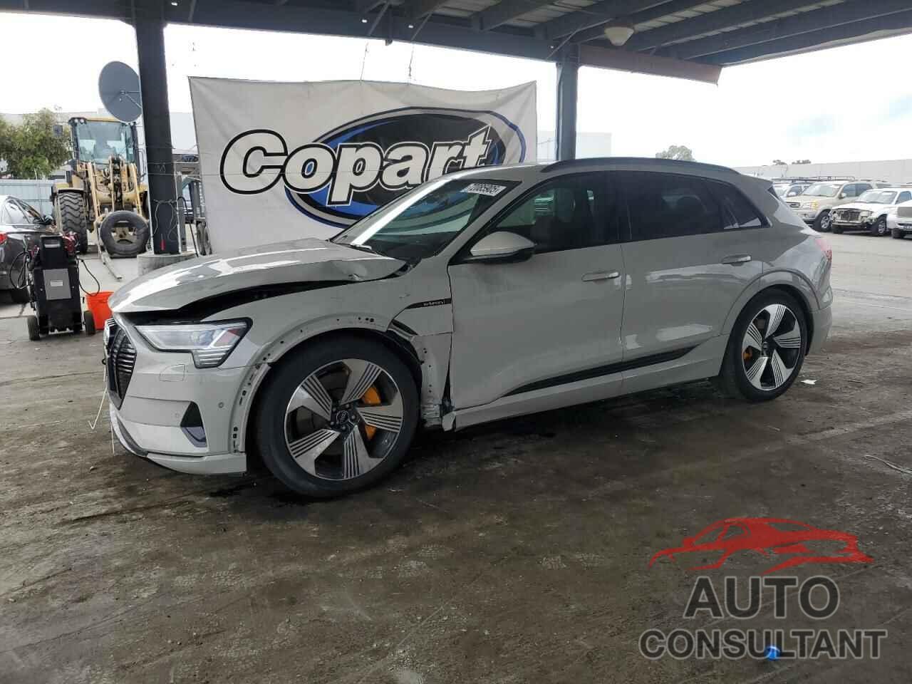 AUDI E-TRON 2022 - WA1LAAGE2NB032102