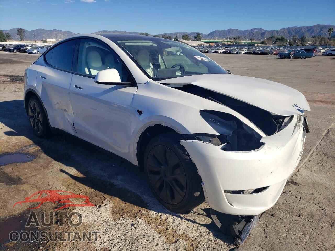 TESLA MODEL Y 2024 - 7SAYGDED8RF120518