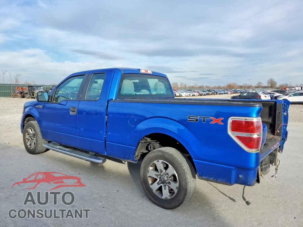FORD F-150 2013 - 1FTFX1CF5DFD92925