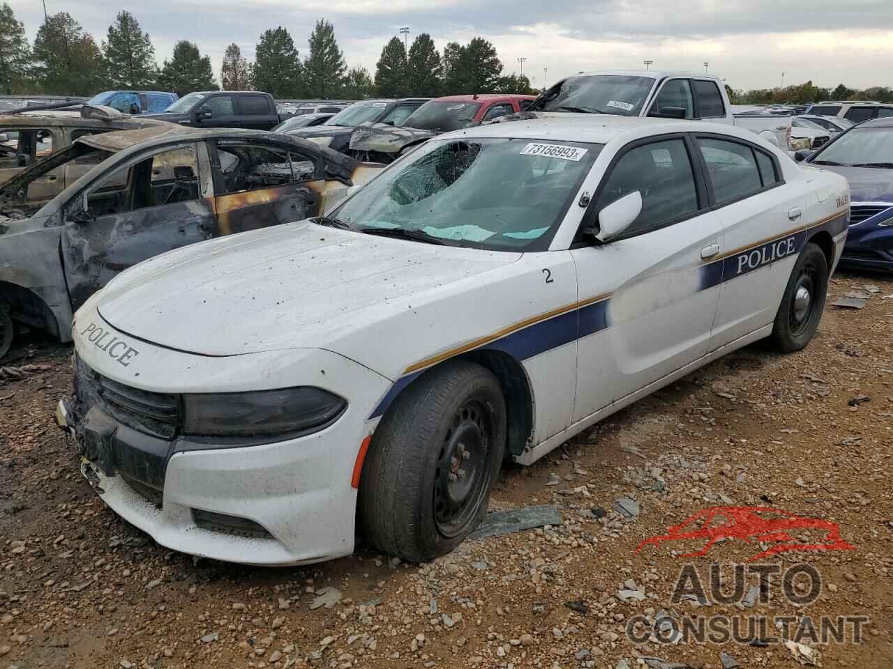 DODGE CHARGER 2019 - 2C3CDXKTXKH743009