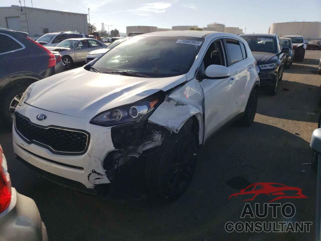KIA SPORTAGE 2019 - KNDPM3AC0K7508105