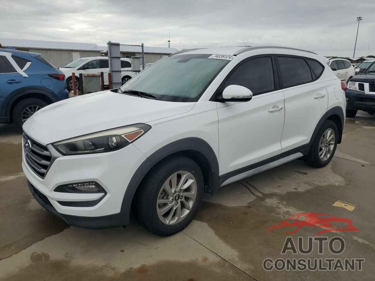 HYUNDAI TUCSON 2017 - KM8J33A45HU516143