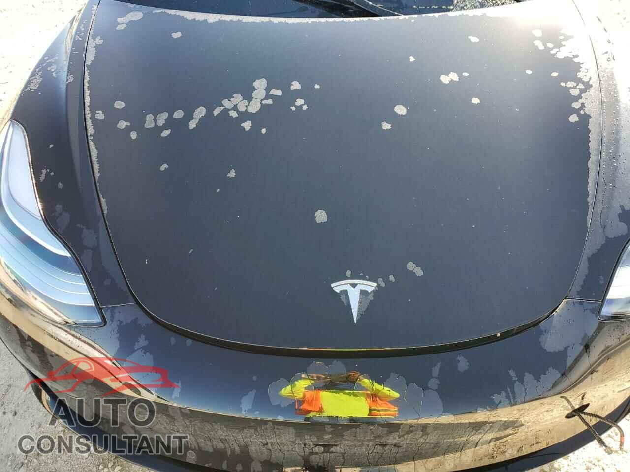 TESLA MODEL 3 2019 - 5YJ3E1EA3KF300335