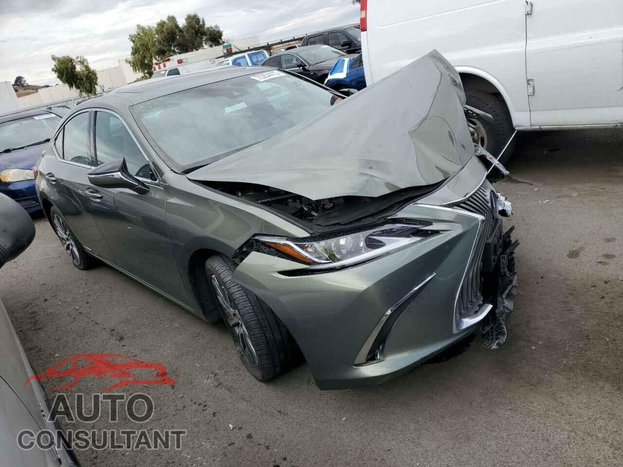 LEXUS ES300 2020 - 58AD21B17LU008024