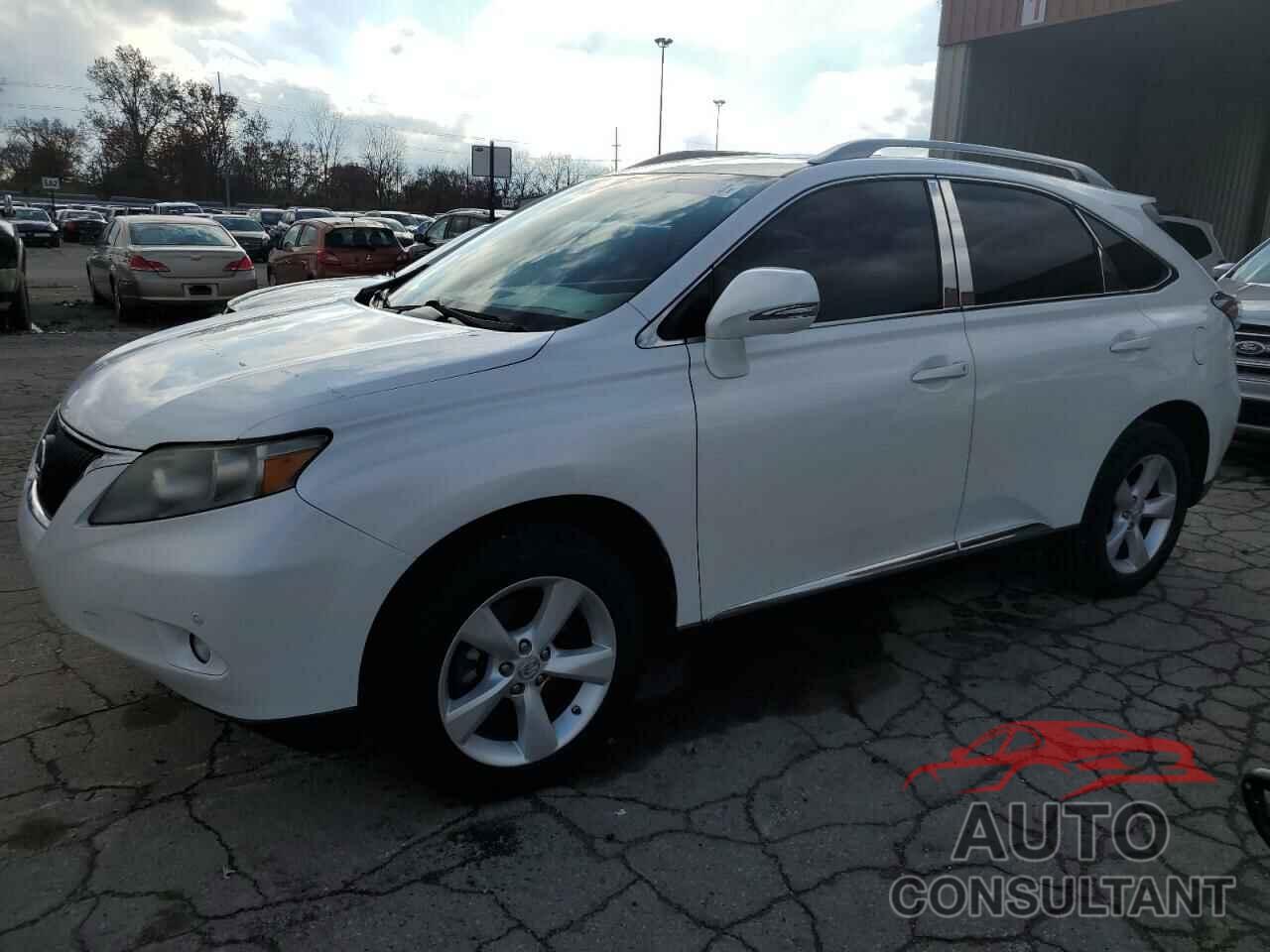 LEXUS RX350 2010 - 2T2BK1BA3AC064244