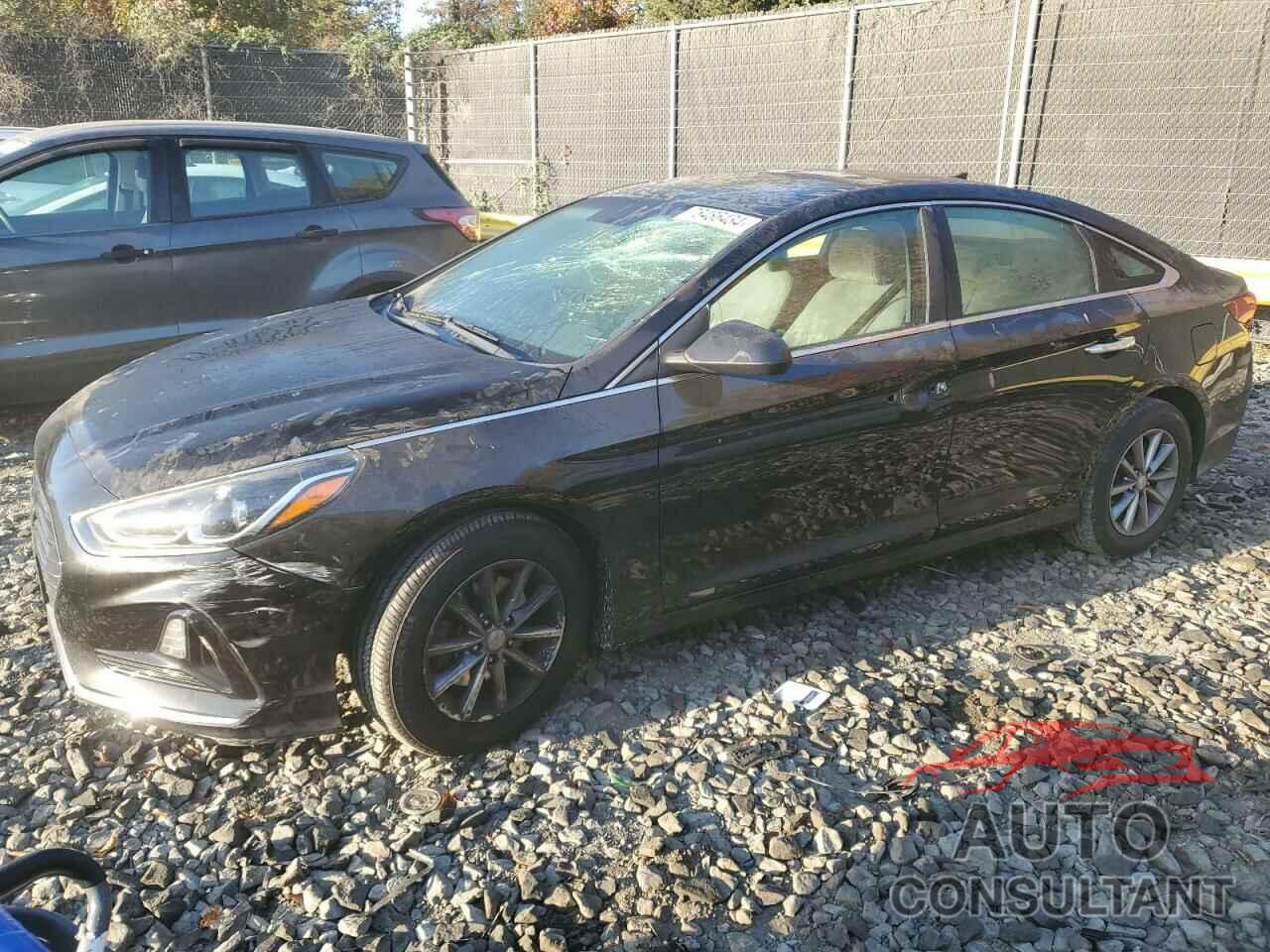 HYUNDAI SONATA 2019 - 5NPE24AF8KH787702