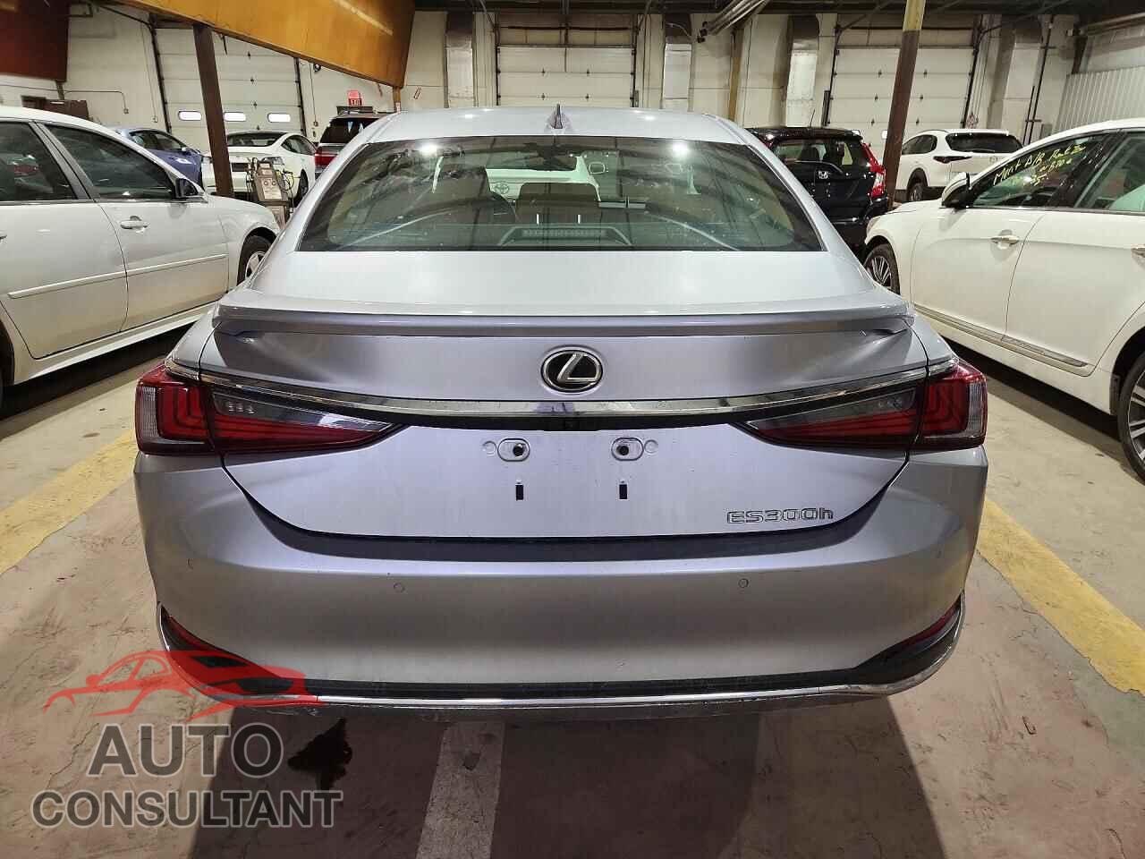 LEXUS ES300 2023 - 58AEA1C19PU032319