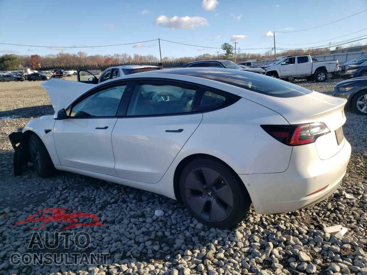 TESLA MODEL 3 2021 - 5YJ3E1EA8MF923145
