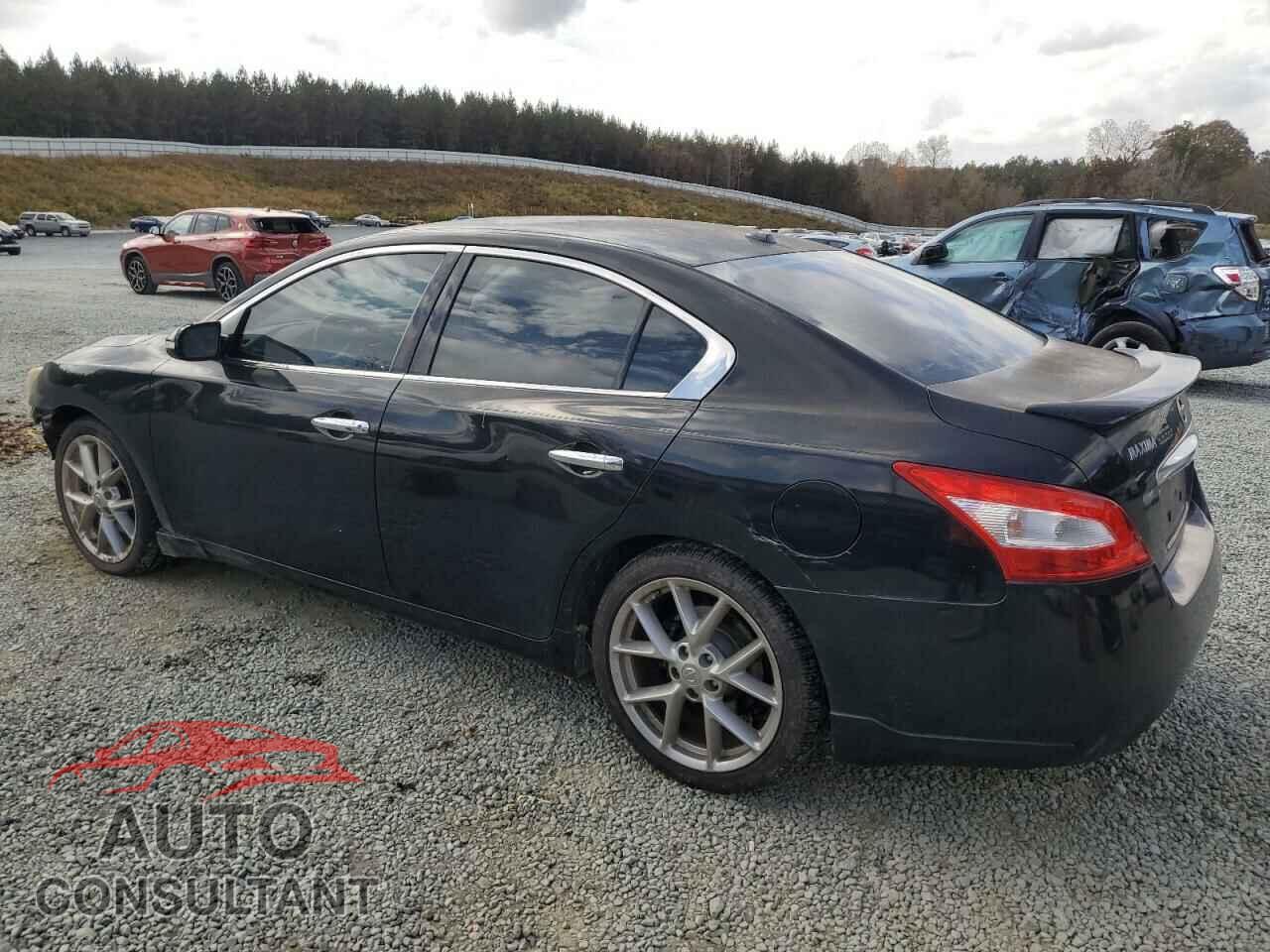 NISSAN MAXIMA 2011 - 1N4AA5AP3BC807646