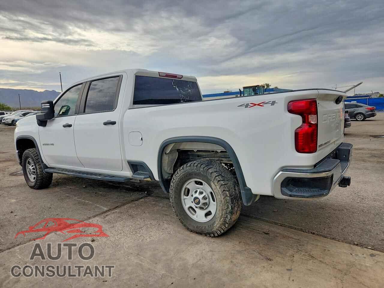 CHEVROLET SILVERADO 2024 - 2GC1YLE71R1141763