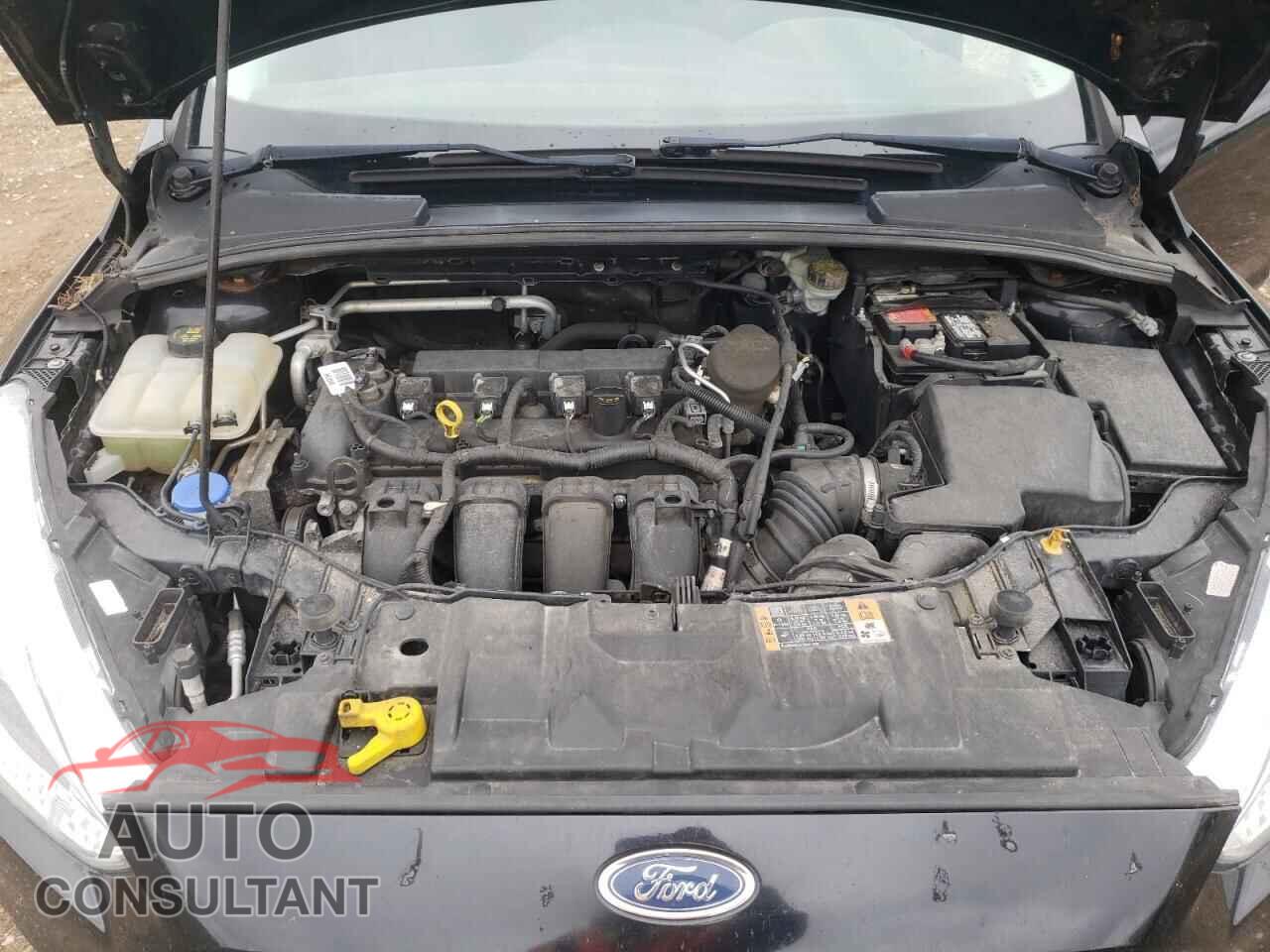 FORD FOCUS 2016 - 1FADP3F28GL305297