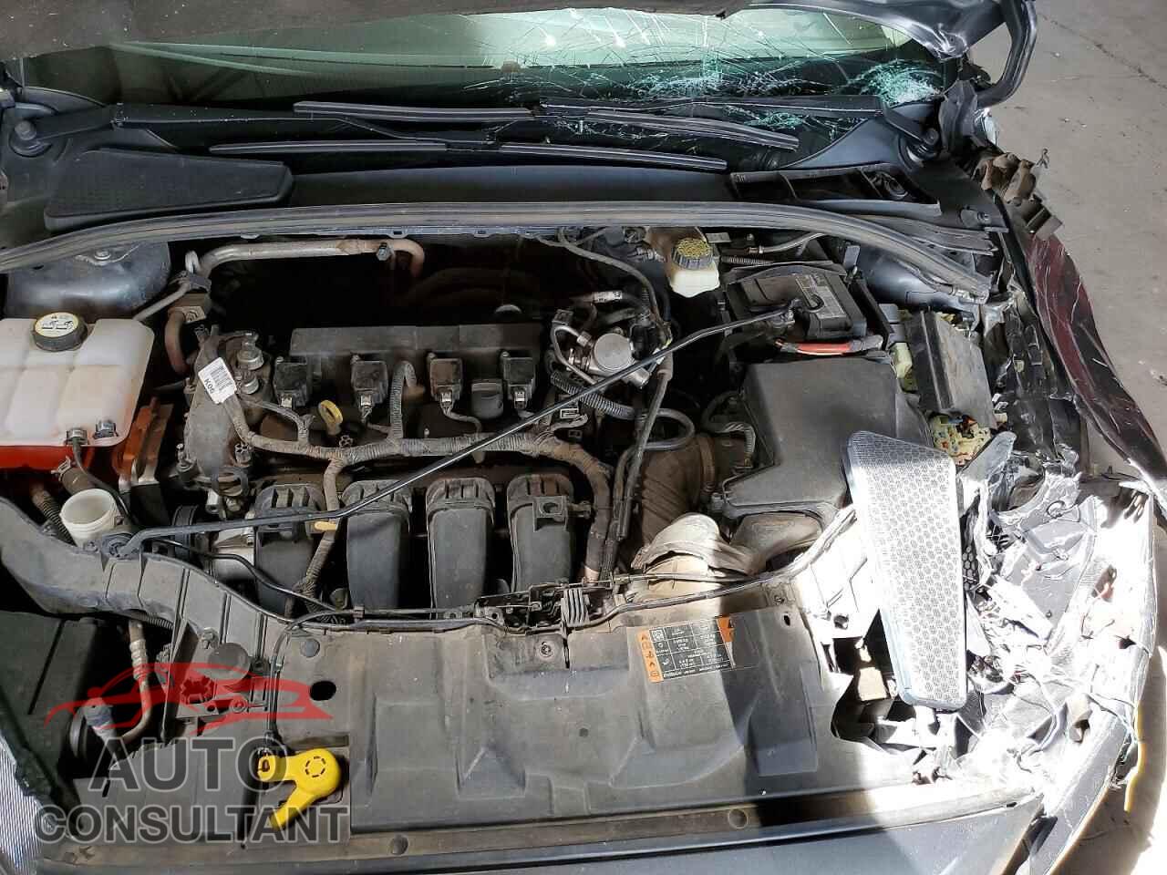 FORD FOCUS 2017 - 1FADP3F21HL303764