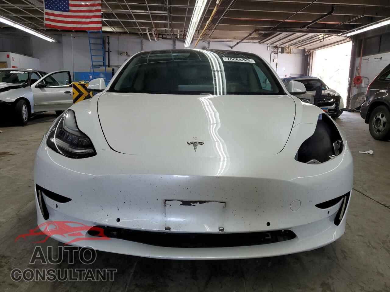 TESLA MODEL 3 2019 - 5YJ3E1EB1KF493982