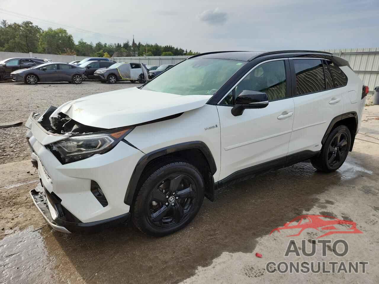 TOYOTA RAV4 2019 - JTMEWRFV4KD504817