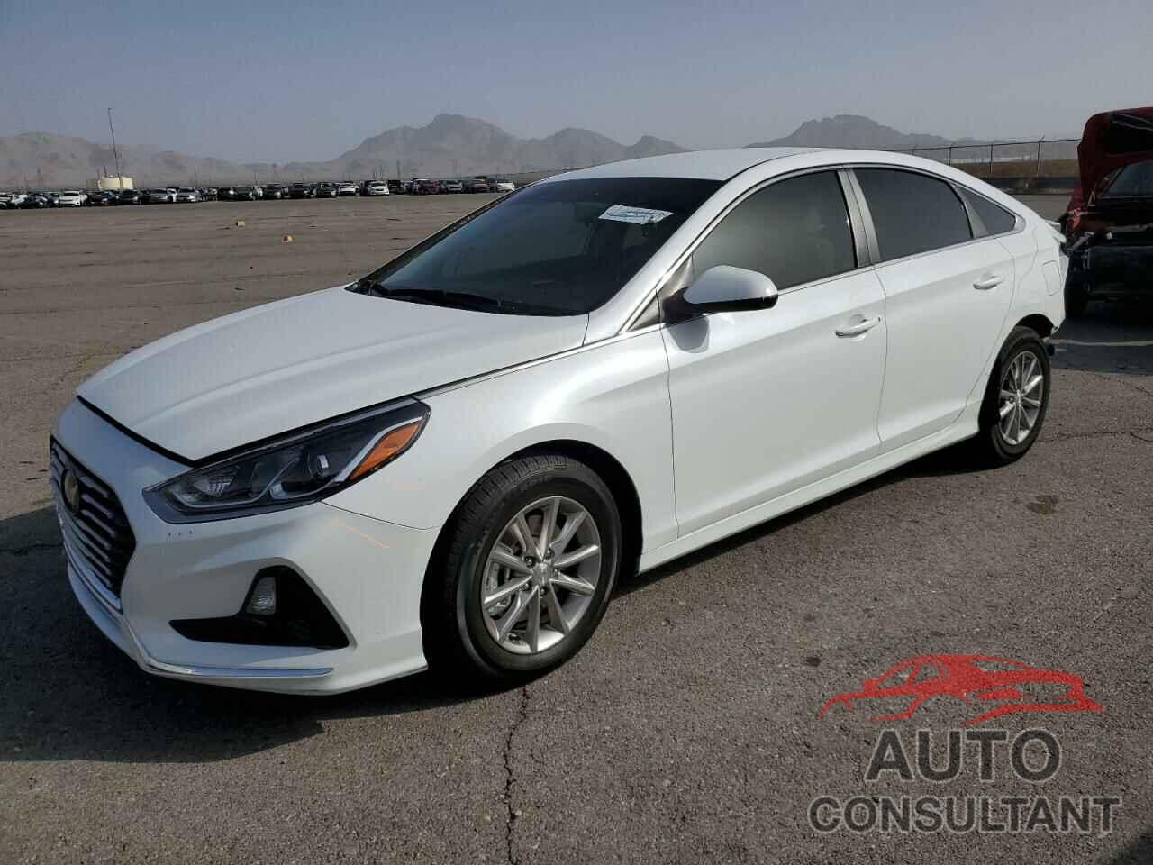 HYUNDAI SONATA 2019 - 5NPE24AF7KH789330