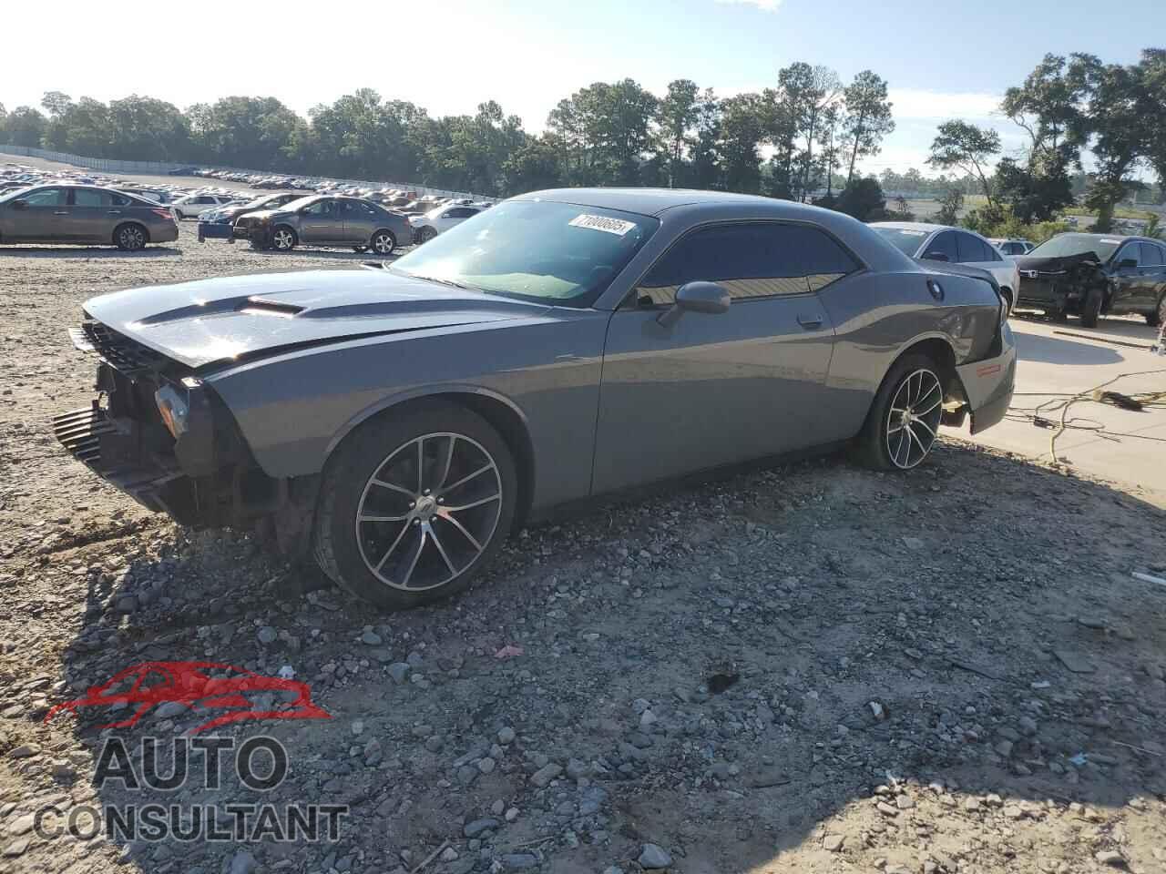 DODGE CHALLENGER 2019 - 2C3CDZAG2KH674154