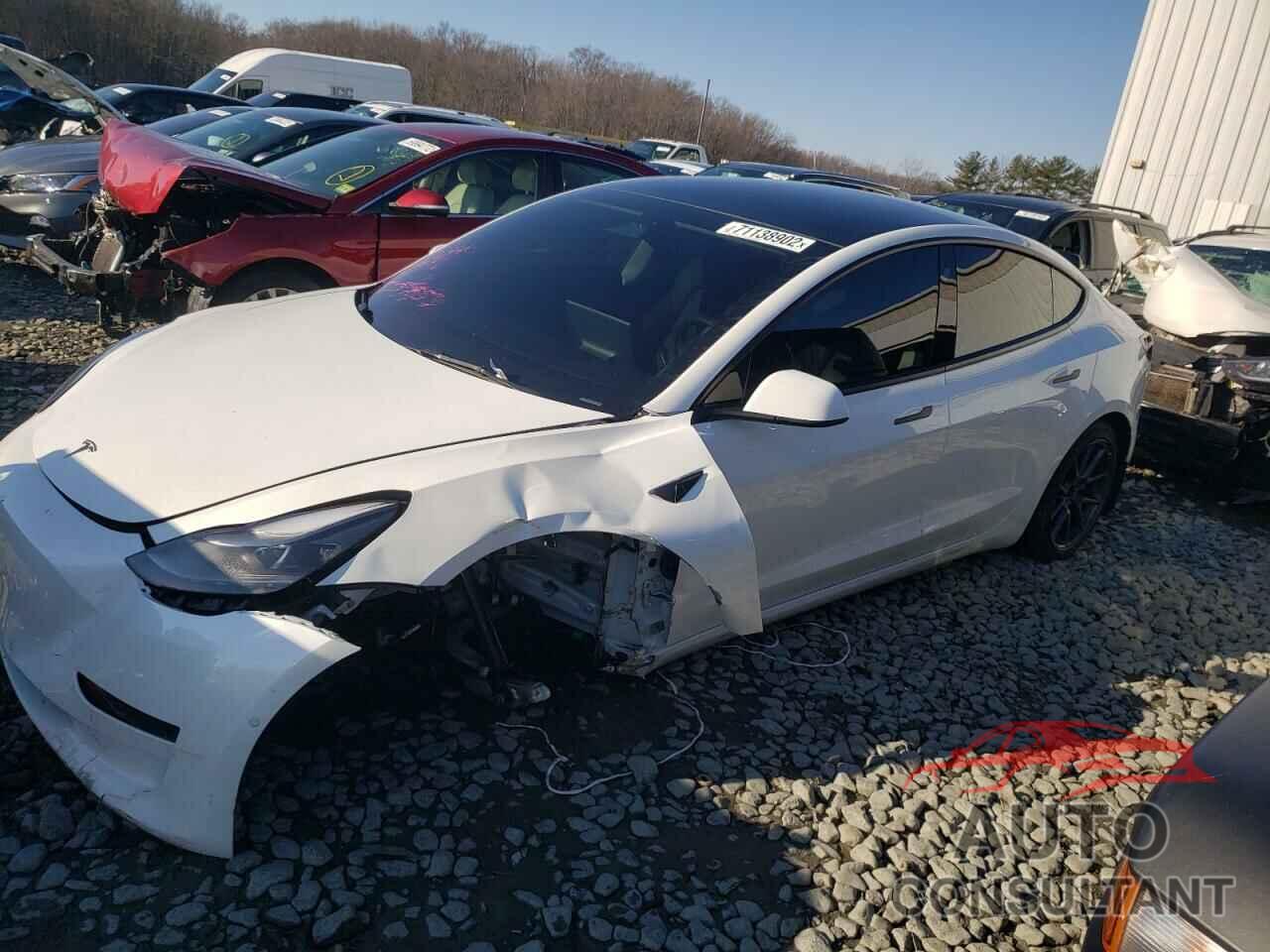 TESLA MODEL 3 2022 - 5YJ3E1EA0NF119925