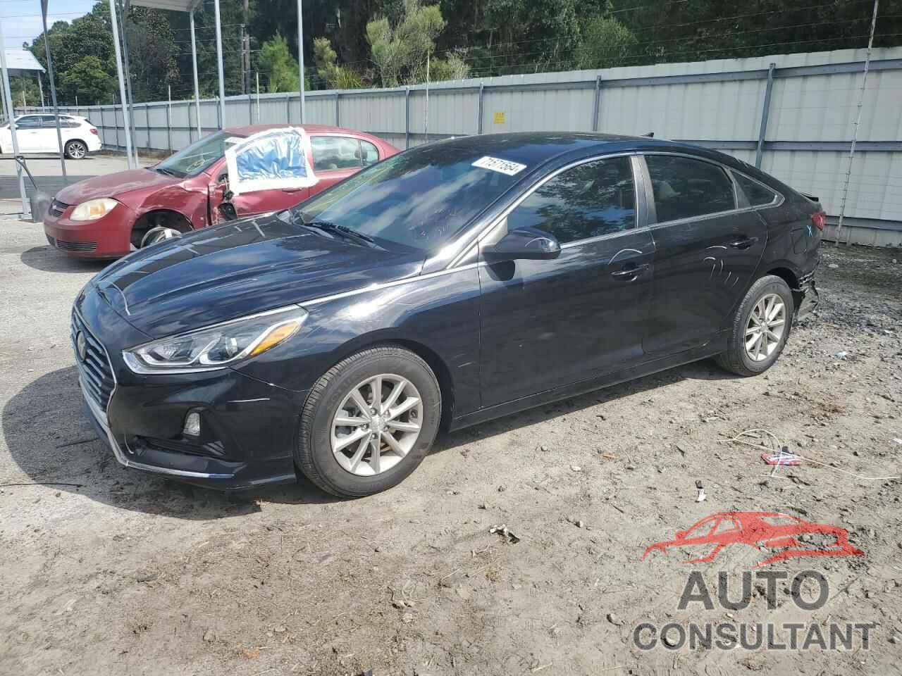 HYUNDAI SONATA 2019 - 5NPE24AF5KH779587