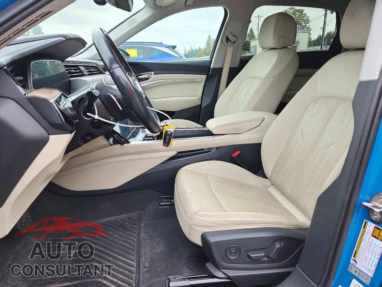 AUDI E-TRON 2019 - WA1LAAGE8KB010214