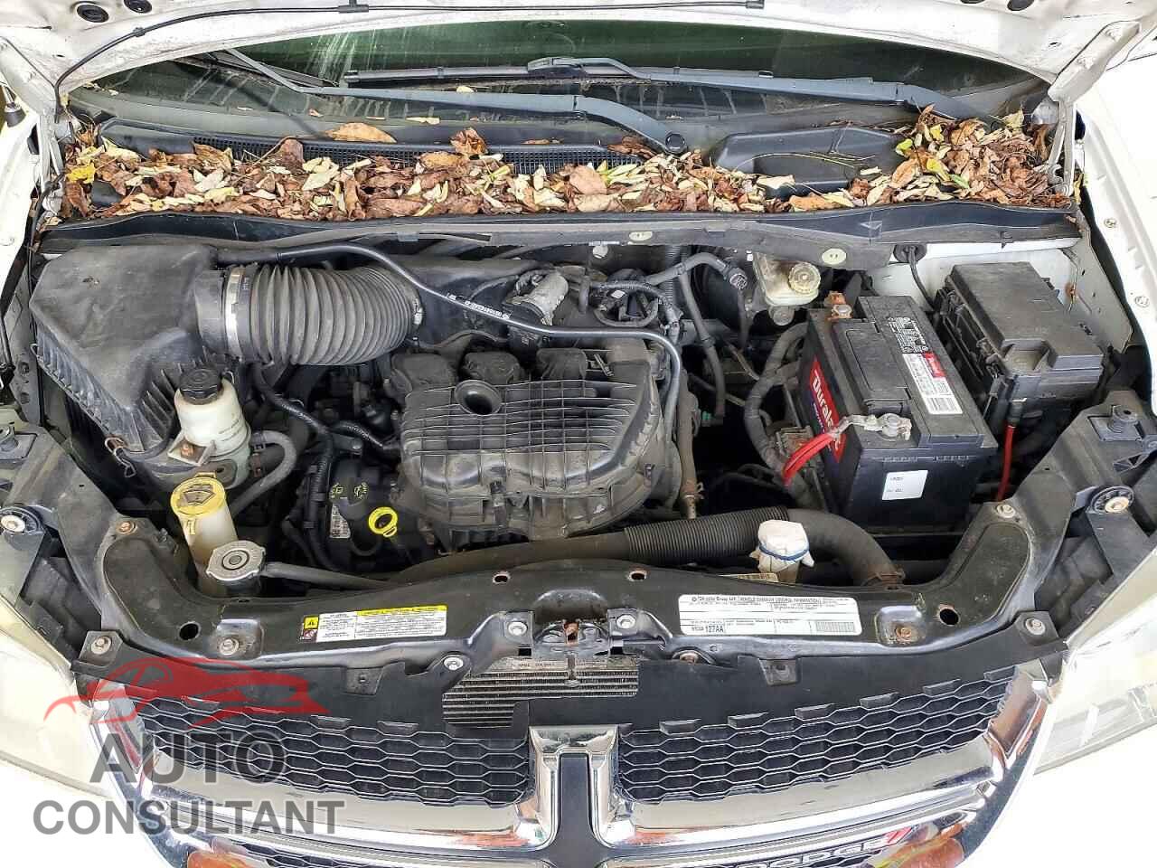 DODGE CARAVAN 2011 - 2D4RN3DG2BR645956