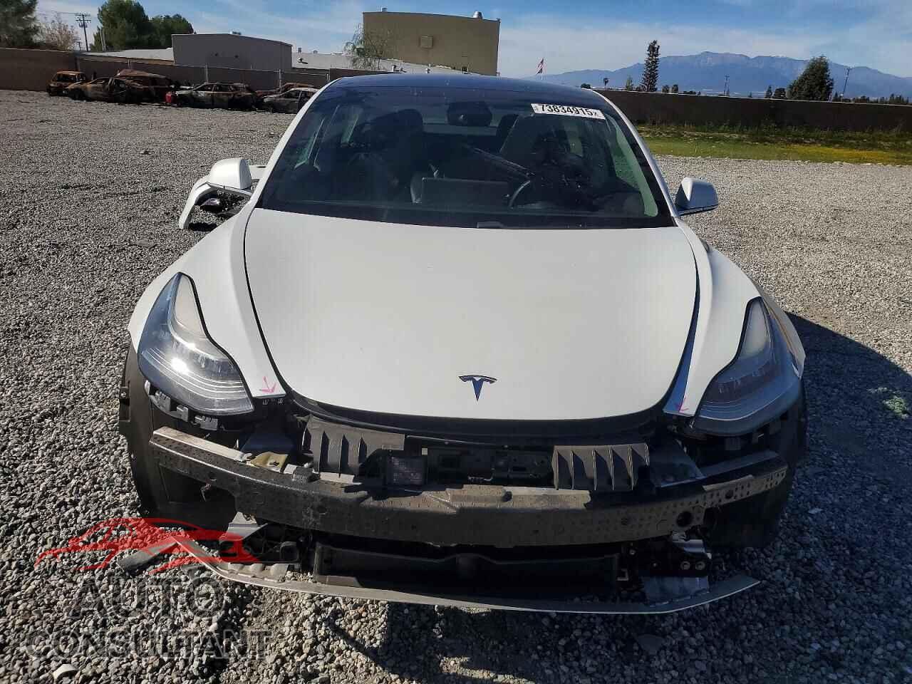 TESLA MODEL 3 2019 - 5YJ3E1EA3KF466659