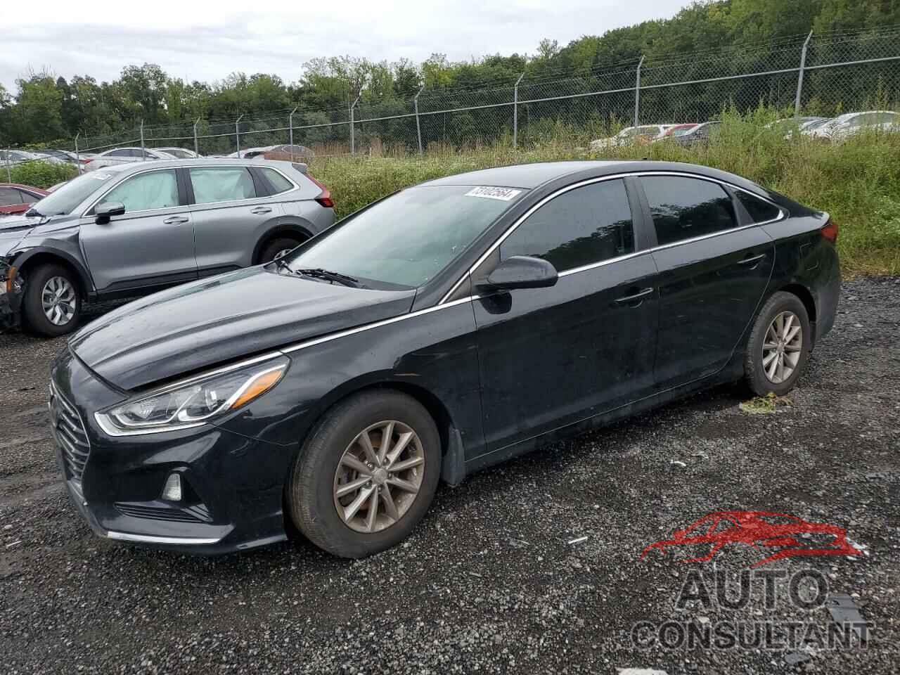 HYUNDAI SONATA 2019 - 5NPE24AF0KH804766