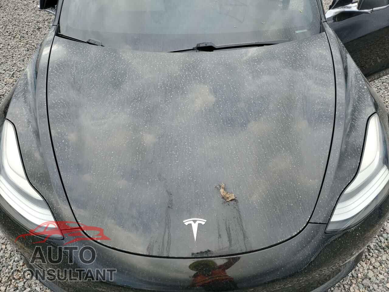 TESLA MODEL 3 2019 - 5YJ3E1EA2KF445219