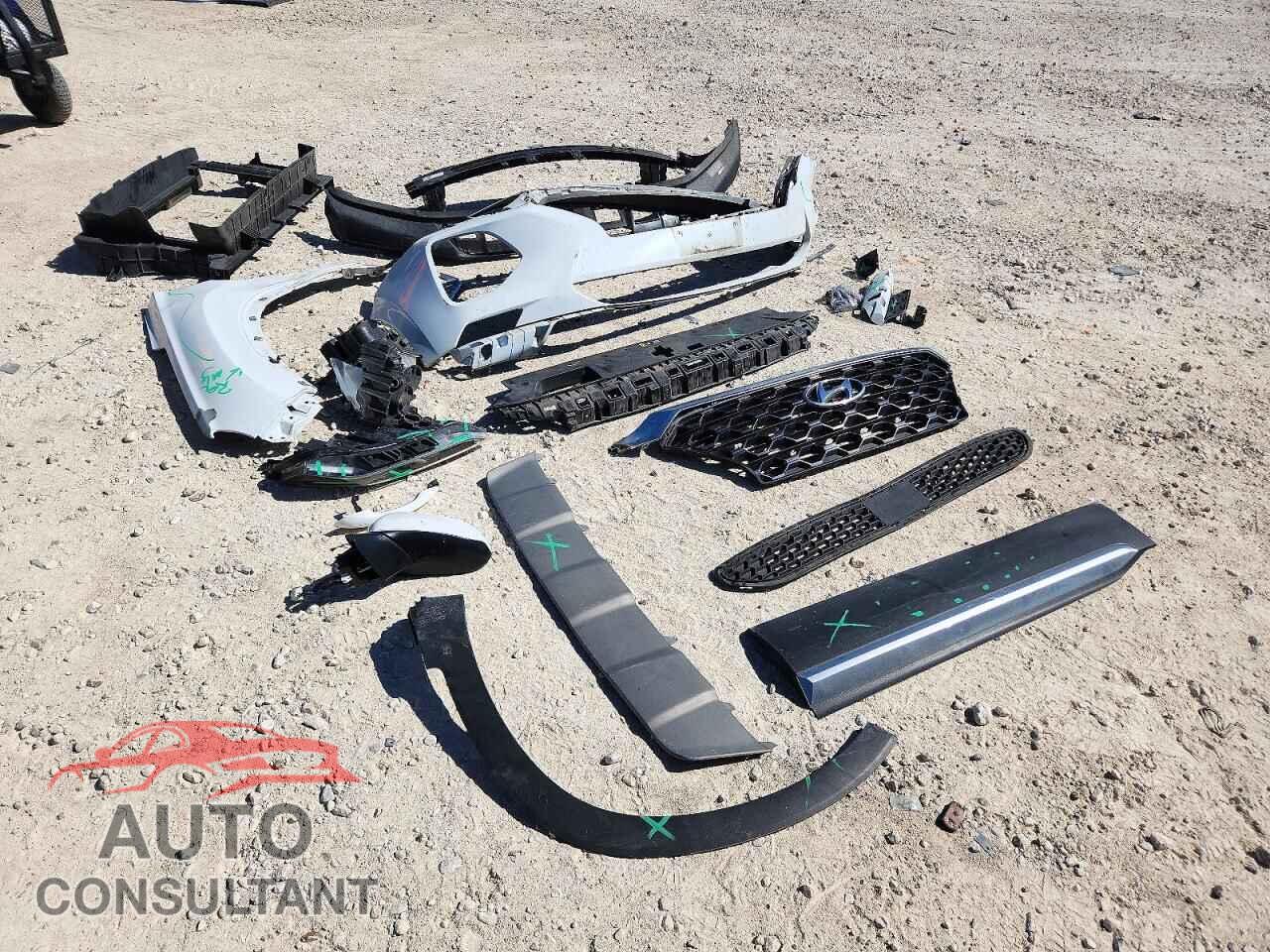 HYUNDAI SANTA FE 2019 - 5NMS23AD2KH091801
