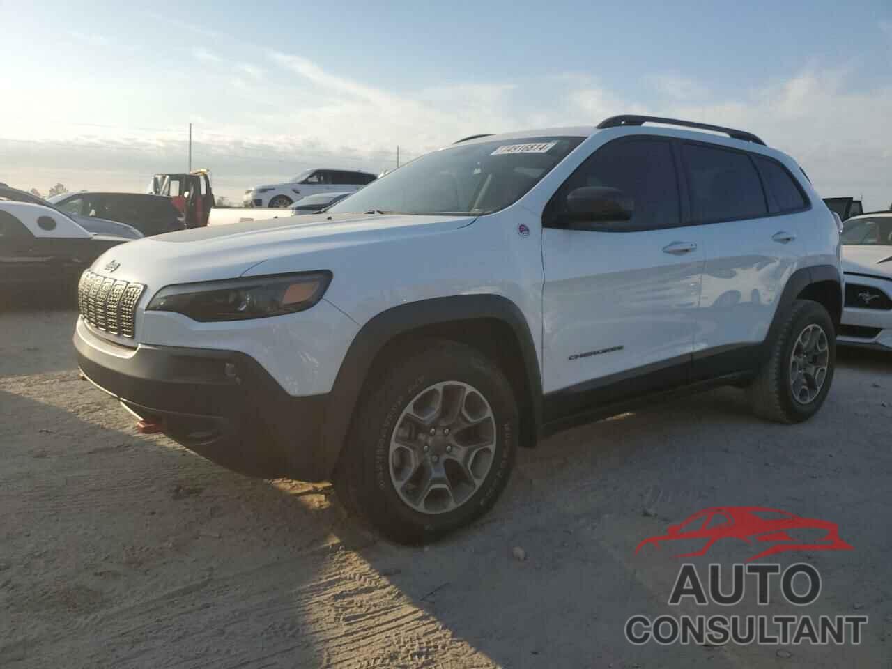 JEEP CHEROKEE 2020 - 1C4PJMBX4LD640920