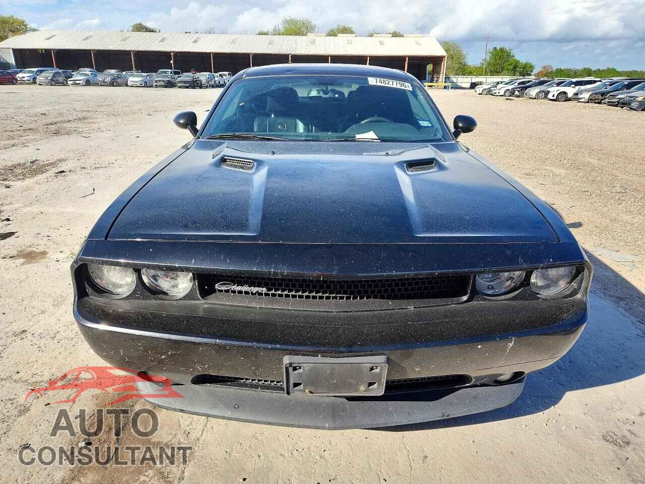 DODGE CHALLENGER 2014 - 2C3CDYAG0EH218636