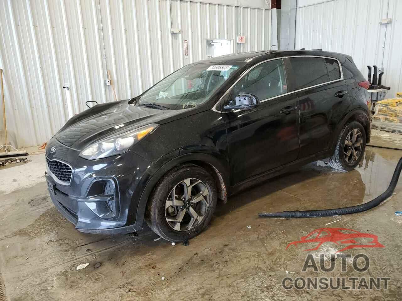 KIA SPORTAGE 2022 - KNDPM3AC7N7016322
