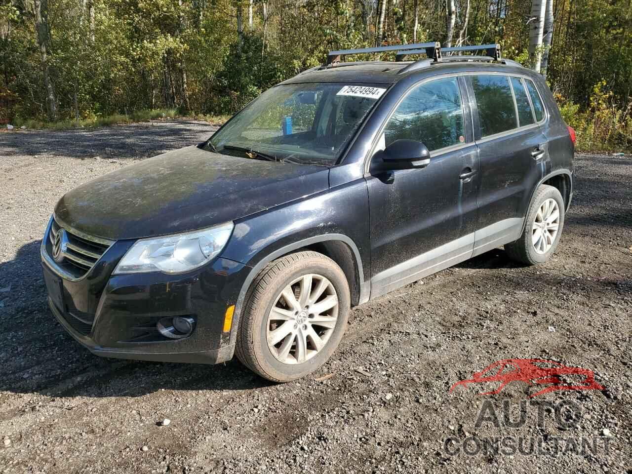 VOLKSWAGEN TIGUAN 2009 - WVGBV95N29W522699