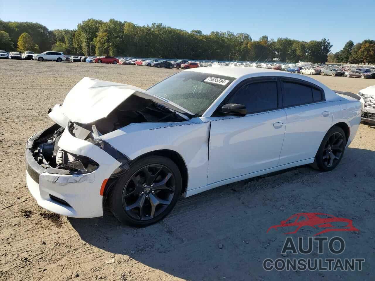 DODGE CHARGER 2020 - 2C3CDXBGXLH238849