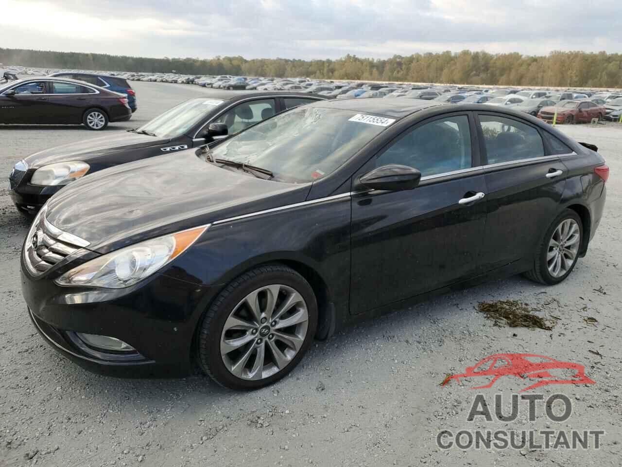 HYUNDAI SONATA 2013 - 5NPEC4AC3DH771221