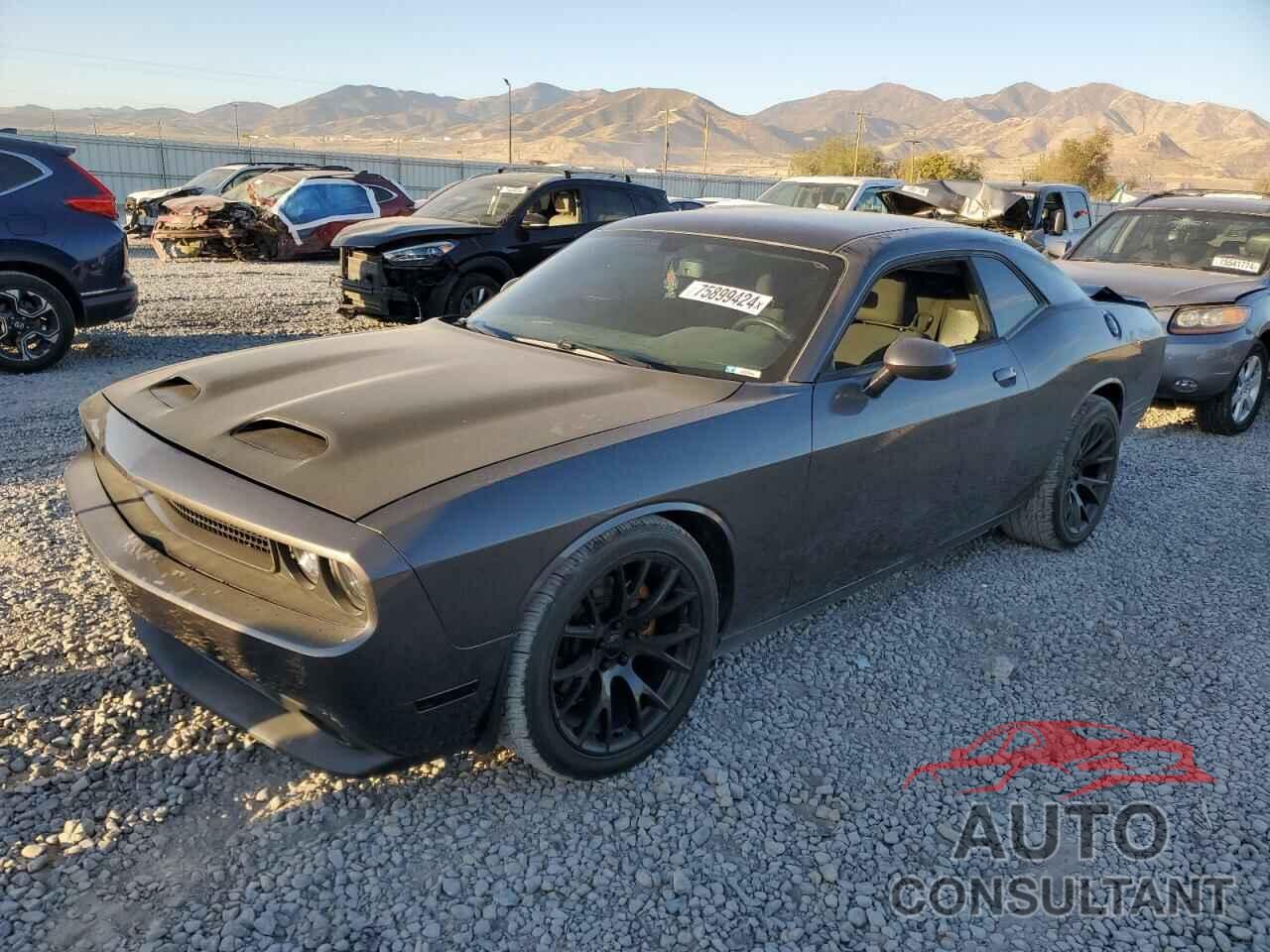 DODGE CHALLENGER 2014 - 2C3CDYBTXEH185303